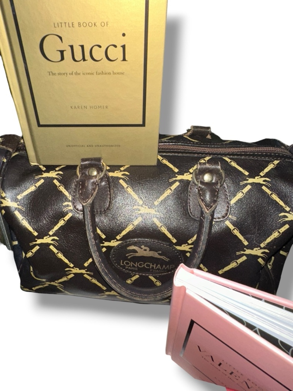 1️⃣5️⃣ STUFFED BAGS GAME: MCM, Vuitton, Versace, Dior, Prada, Givenchy, Geiger! - Picture 8 of 17